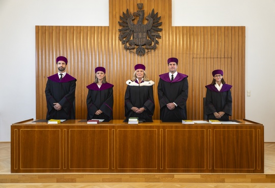 Ein Senat bei der Verk&uuml;ndung einer Entscheidung