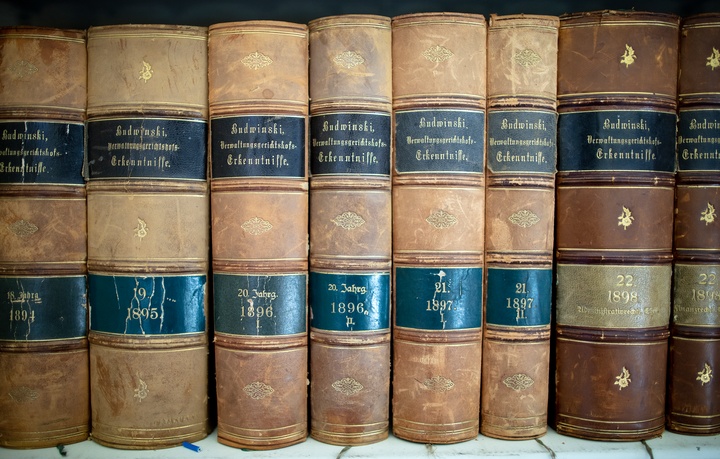 Foto von B&uuml;chr&uuml;cken mehrerer &auml;lterer Ausgaben der Budwinski-Sammlung